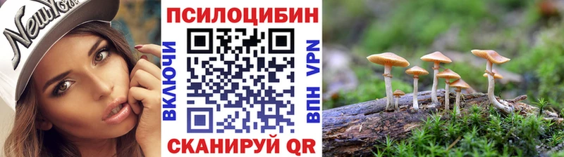 Галлюциногенные грибы Cubensis Рославль