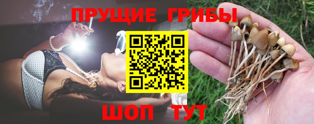 Галлюциногенные грибы мухоморы  Вход с VPN  Рославль 