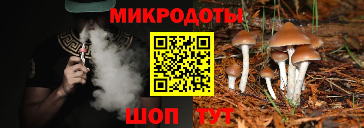 Псилоцибиновые грибы Psilocybine cubensis Рославль